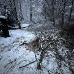 Einsatzstelle Im Tinsberg