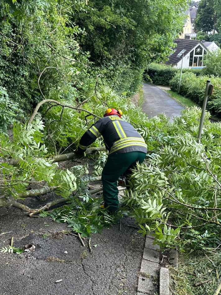 Arbeiten mit einer Kettensäge an dem Baum in Volmarstein
