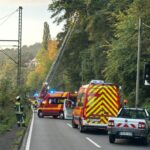 Gefahrenbaum Hagener Str.
