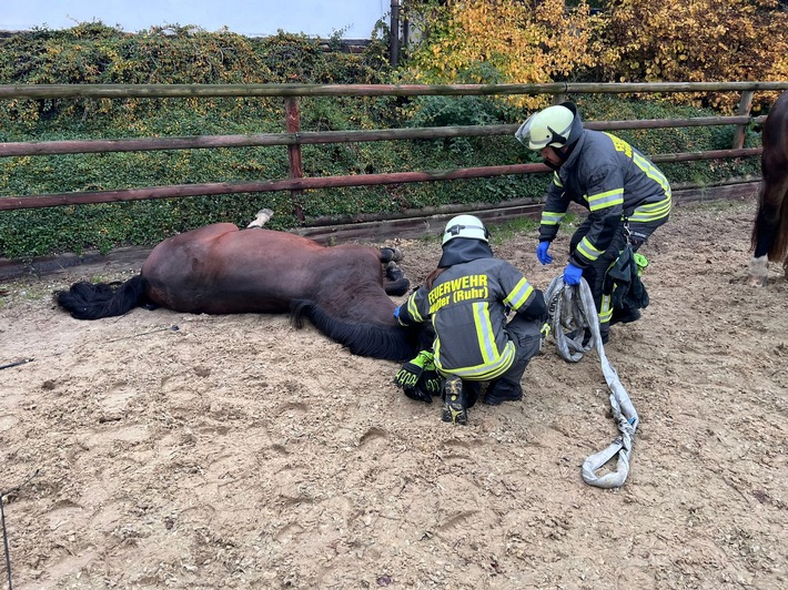 Unfall auf einem Reiterhof
