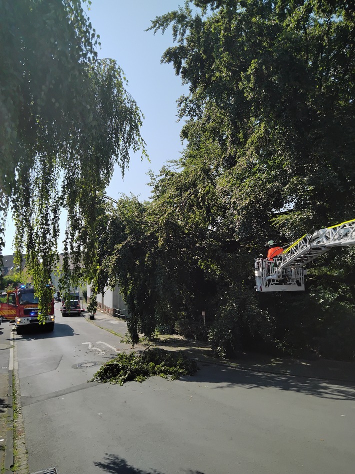 Sägearbeiten in der Ardeystraße