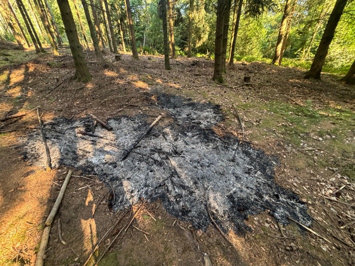 Die verbrannte Fläche im Waldgebiet