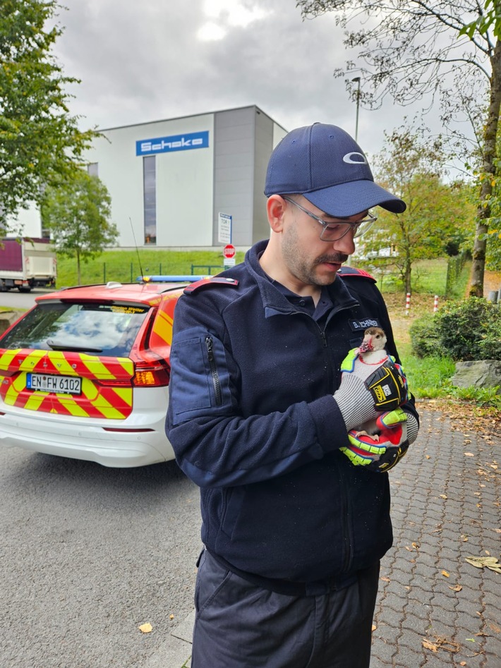 Ente gerettet