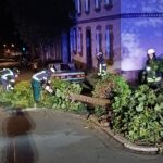 Aufräumarbeiten mittels Akkusäge und Besen